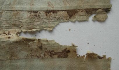 Fragment karty z widocznym brązowym nalotem pokrywającym papier