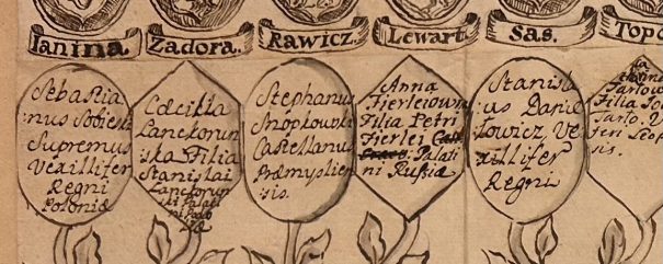 Dokument przedstawiający drzewo genealogiczne.