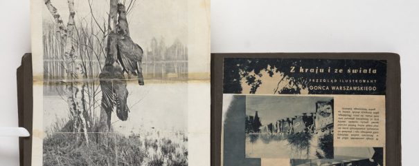Otwarty album leżący na białym tle z dwiema przyklejonymi stronami: po lewej złożona czarno-biała fotografia brzozowego lasu nad mokradłem z wiszącymi ptakami, z widocznymi zagnieceniami i śladami taśmy, po prawej ciemna okładka ilustrowanego magazynu z napisem 